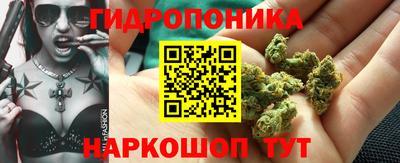 Альфа ПВП Будённовск