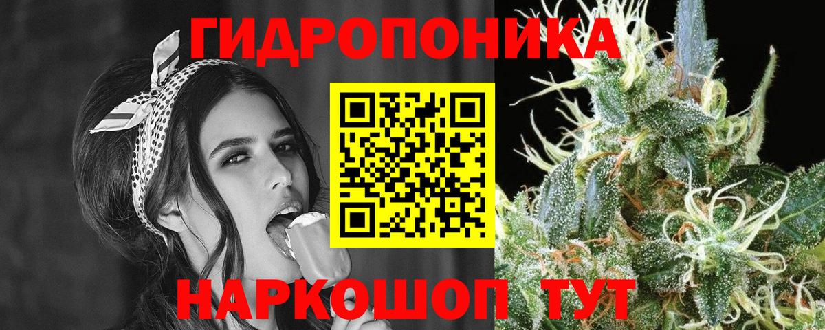 Шишки марихуана марихуана Сафоново